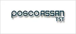 Posco Assan
